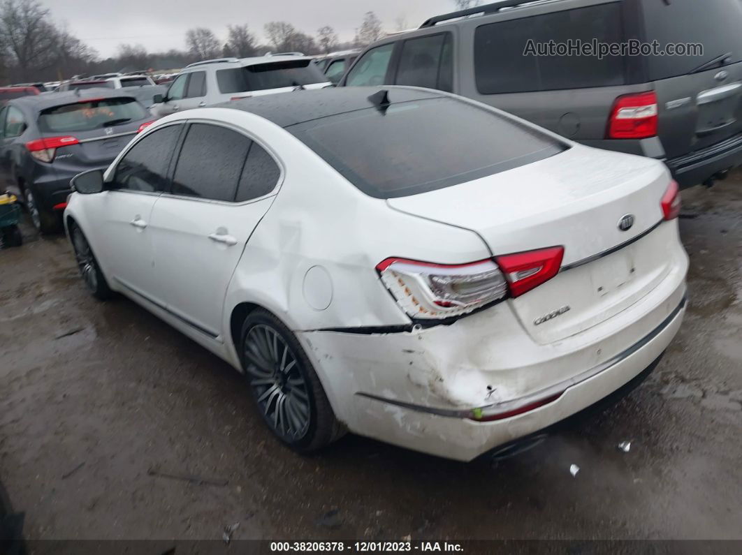 2014 Kia Cadenza Premium Белый vin: KNALN4D74E5126124