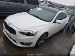 2014 Kia Cadenza Premium Белый vin: KNALN4D74E5126124