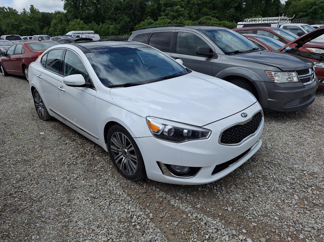 2014 Kia Cadenza Premium White vin: KNALN4D74E5135292