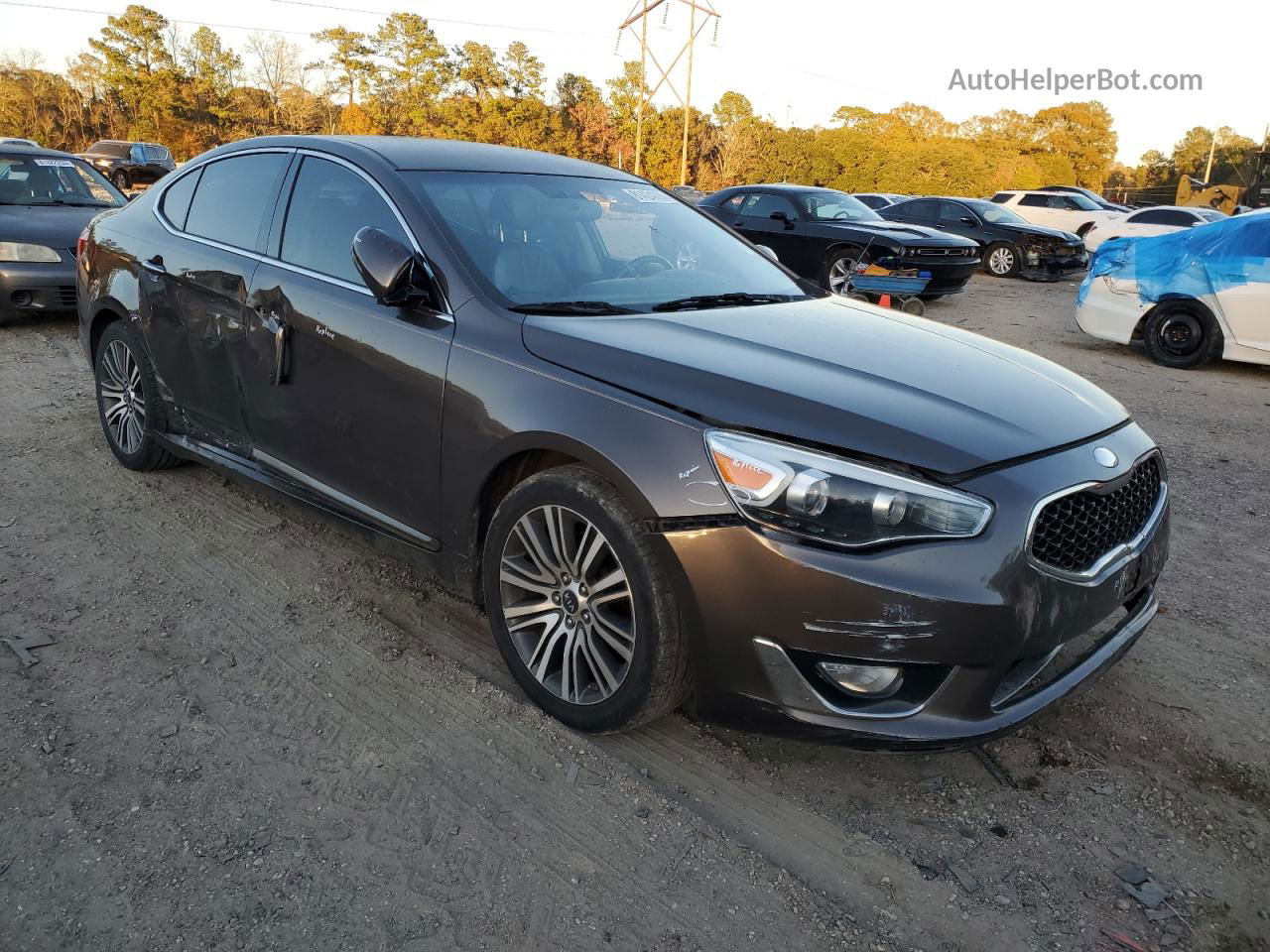 2014 Kia Cadenza Premium Charcoal vin: KNALN4D74E5144915