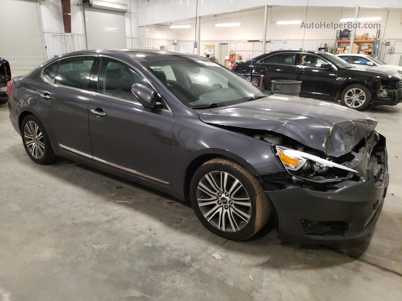 2014 Kia Cadenza Premium Gray vin: KNALN4D74E5162105