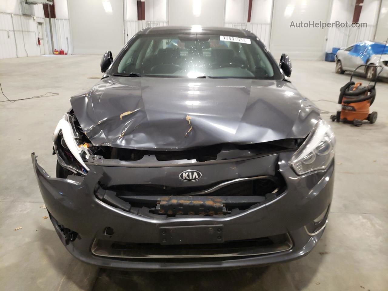 2014 Kia Cadenza Premium Gray vin: KNALN4D74E5162105