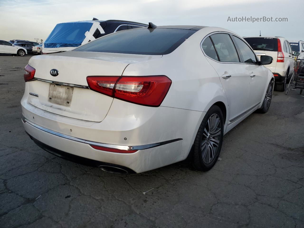 2014 Kia Cadenza Premium Белый vin: KNALN4D75E5125872