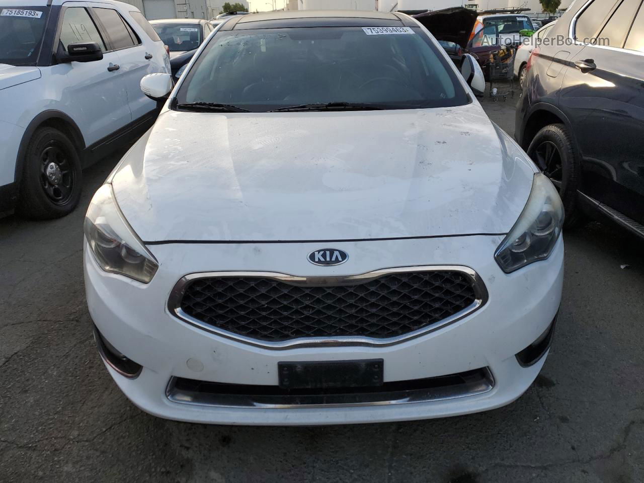 2014 Kia Cadenza Premium Белый vin: KNALN4D75E5125872