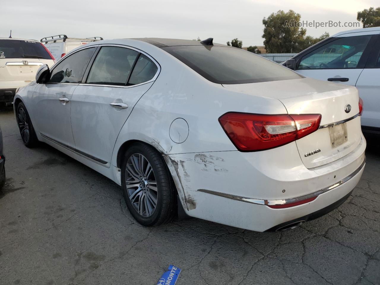 2014 Kia Cadenza Premium White vin: KNALN4D75E5125872