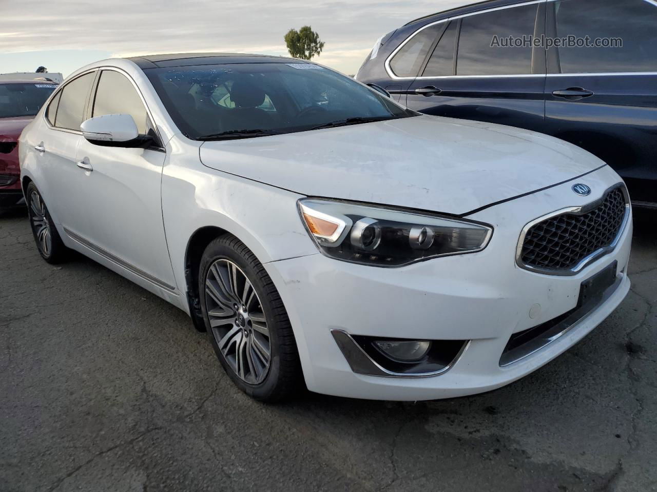 2014 Kia Cadenza Premium White vin: KNALN4D75E5125872