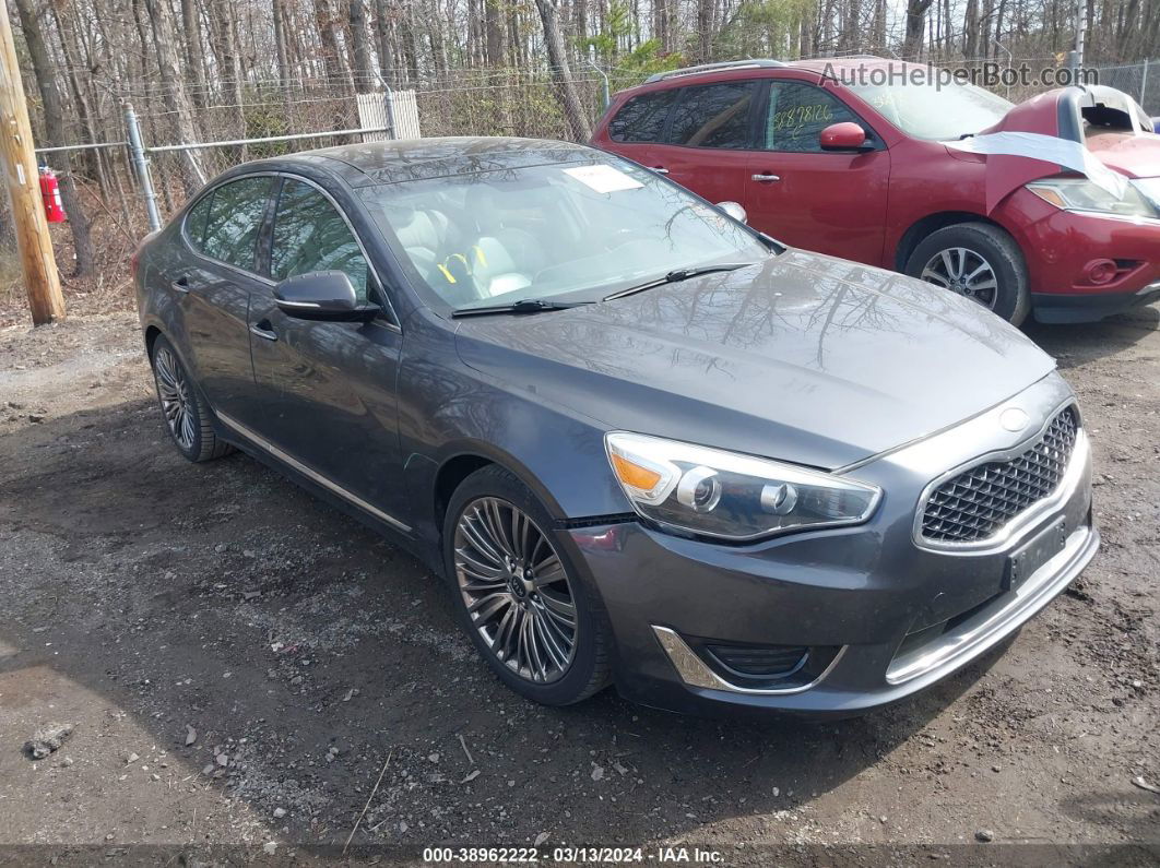 2014 Kia Cadenza Limited Gray vin: KNALN4D75E5151937