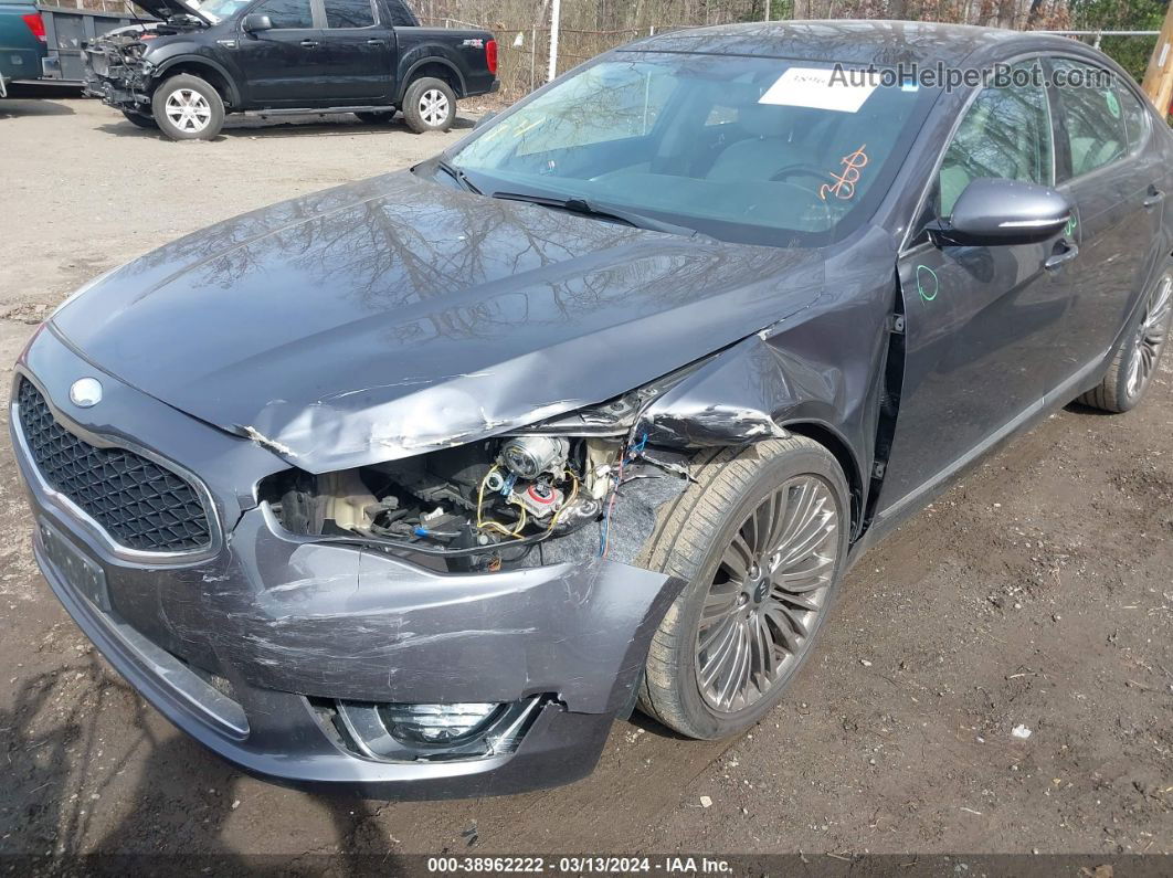 2014 Kia Cadenza Limited Gray vin: KNALN4D75E5151937