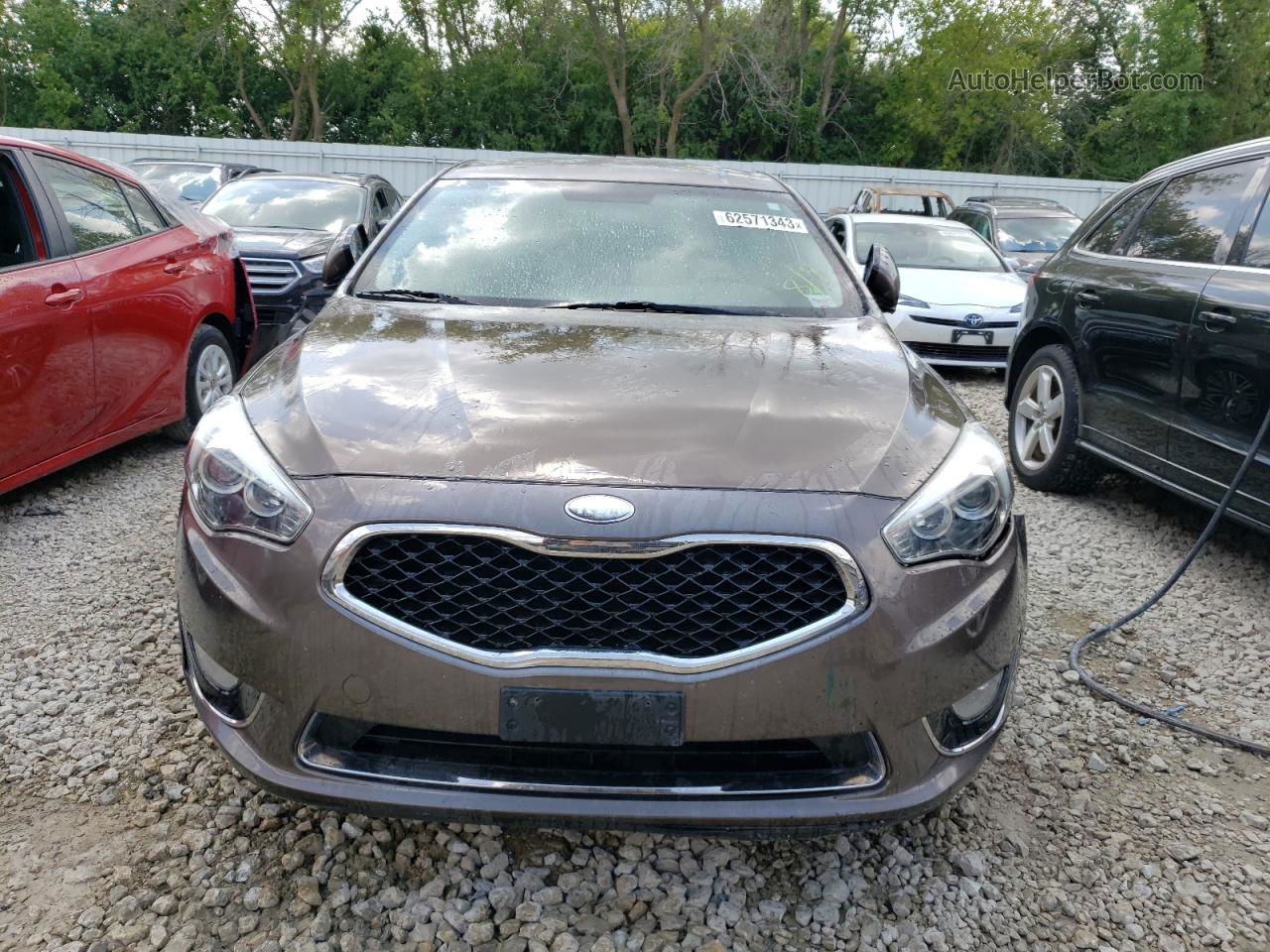 2014 Kia Cadenza Premium Brown vin: KNALN4D76E5119630