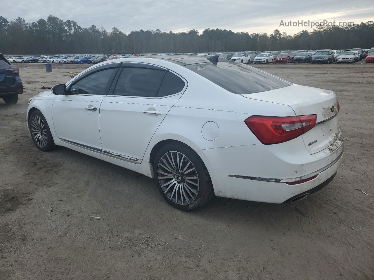 2014 Kia Cadenza Premium White vin: KNALN4D76E5123693