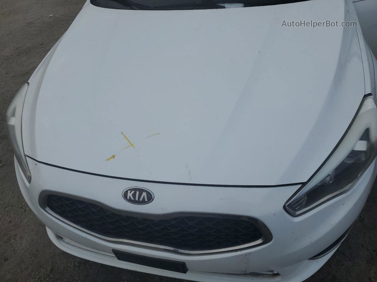 2014 Kia Cadenza Premium White vin: KNALN4D76E5123693