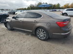 2014 Kia Cadenza Premium Коричневый vin: KNALN4D76E5134726