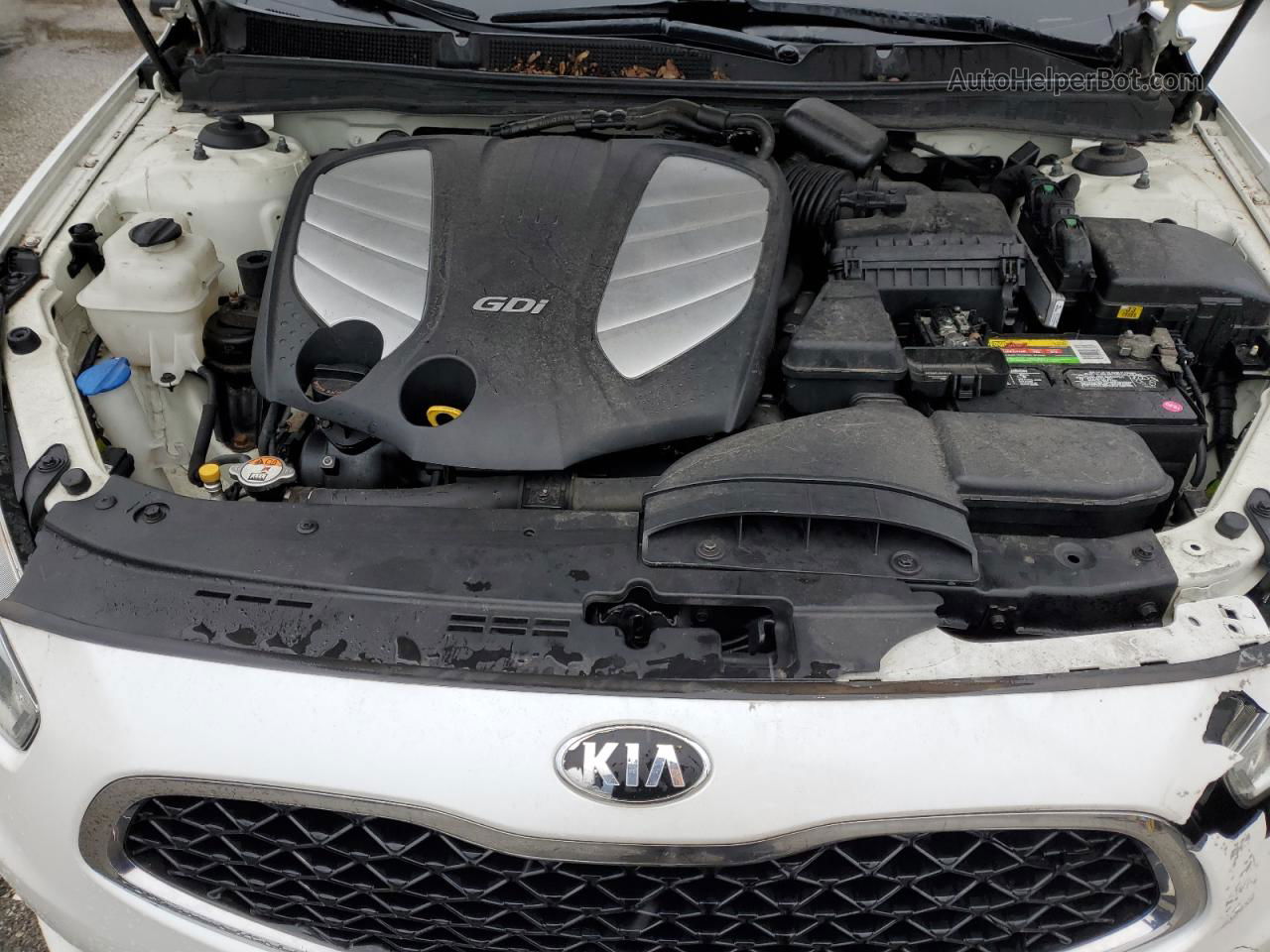 2014 Kia Cadenza Premium Белый vin: KNALN4D76E5139621