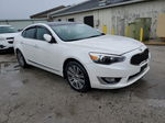 2014 Kia Cadenza Premium Белый vin: KNALN4D76E5139621