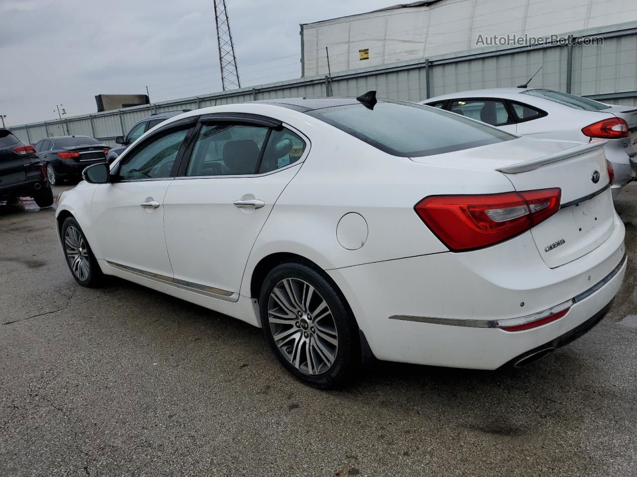 2014 Kia Cadenza Premium White vin: KNALN4D76E5139621