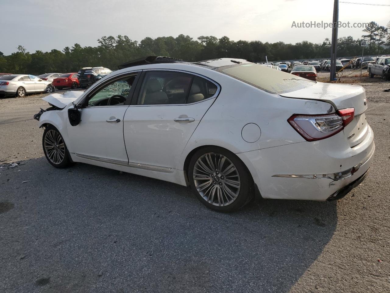 2014 Kia Cadenza Premium White vin: KNALN4D76E5141935