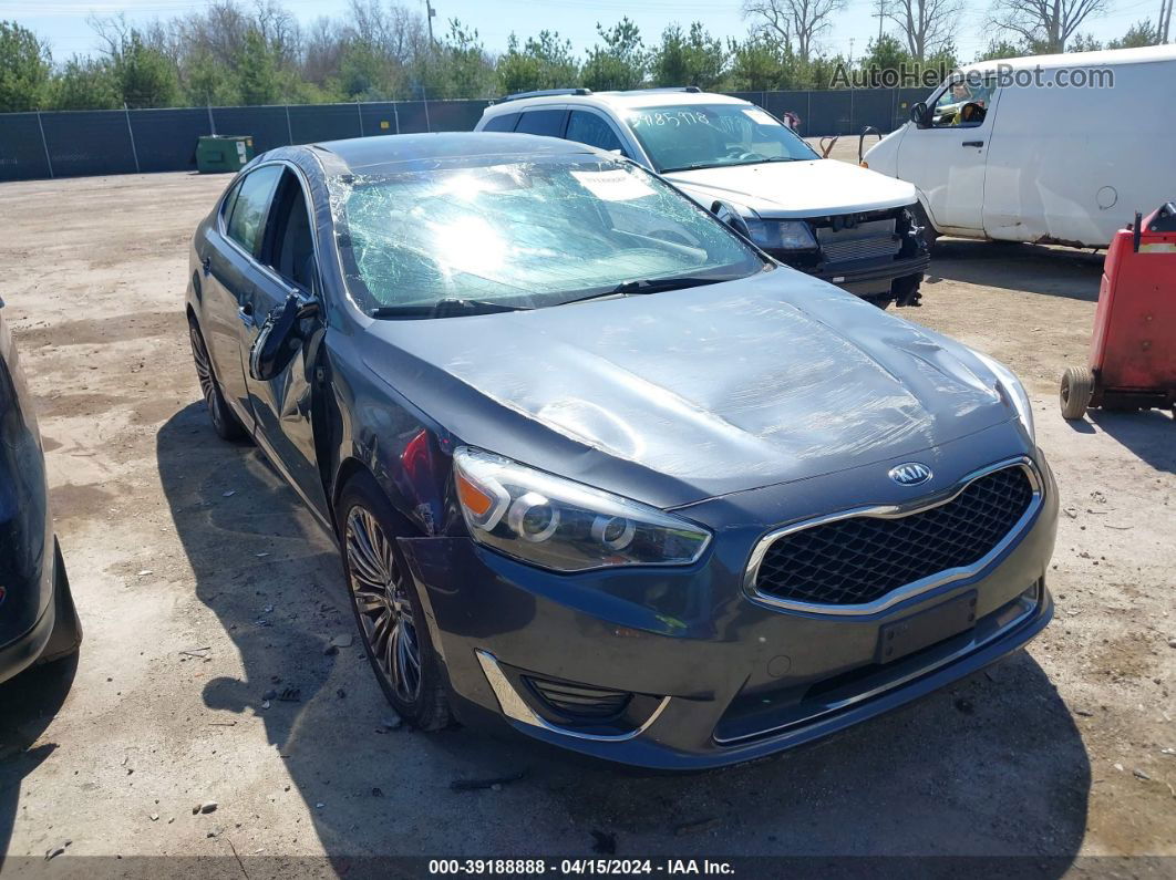 2014 Kia Cadenza Limited Gray vin: KNALN4D77E5145444