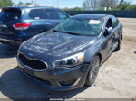 2014 Kia Cadenza Limited Gray vin: KNALN4D77E5145444