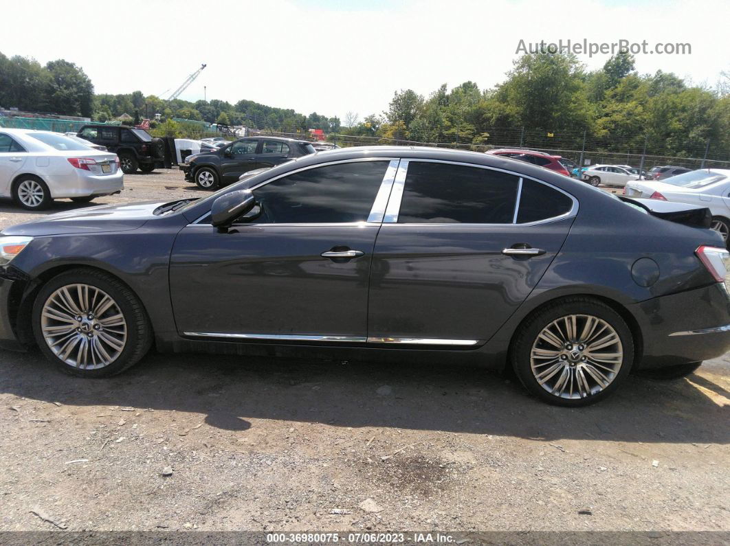 2014 Kia Cadenza Limited Gray vin: KNALN4D77E5146321