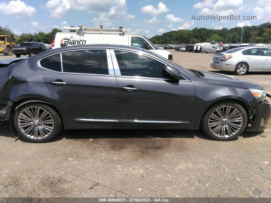 2014 Kia Cadenza Limited Gray vin: KNALN4D77E5146321