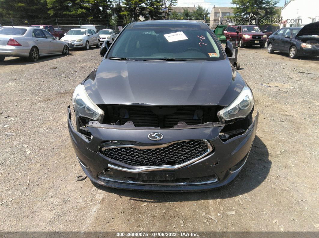 2014 Kia Cadenza Limited Серый vin: KNALN4D77E5146321