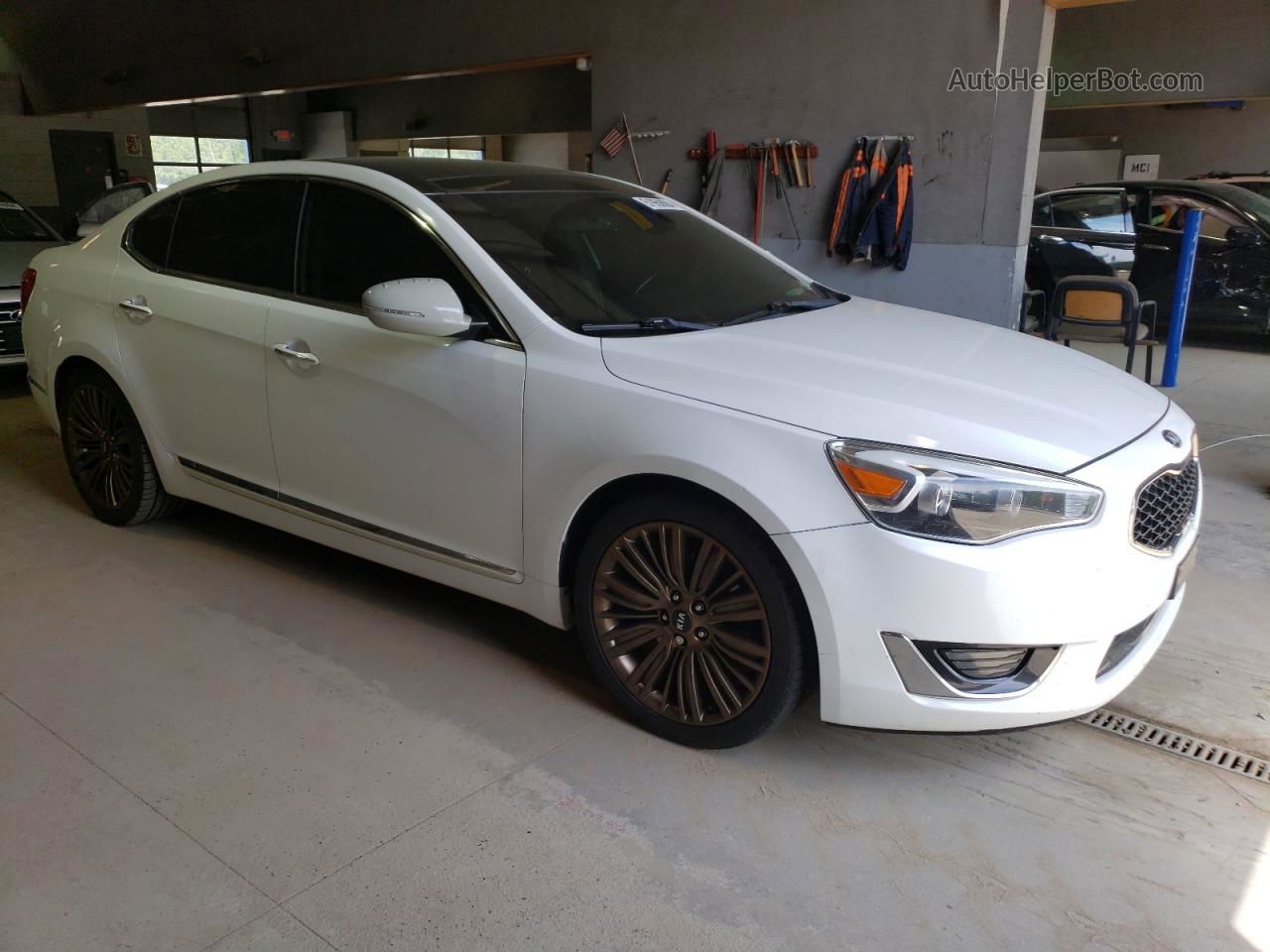 2014 Kia Cadenza Premium Белый vin: KNALN4D77E5161871