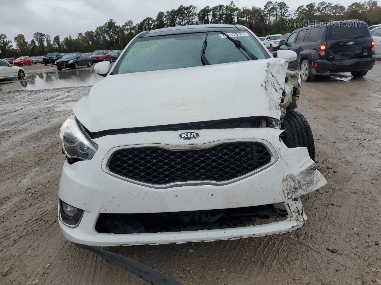 2016 Kia Cadenza Luxury White vin: KNALN4D77G5217990