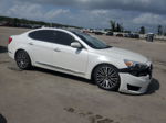 2014 Kia Cadenza Premium White vin: KNALN4D78E5120228