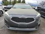 2014 Kia Cadenza Premium Gray vin: KNALN4D78E5124909