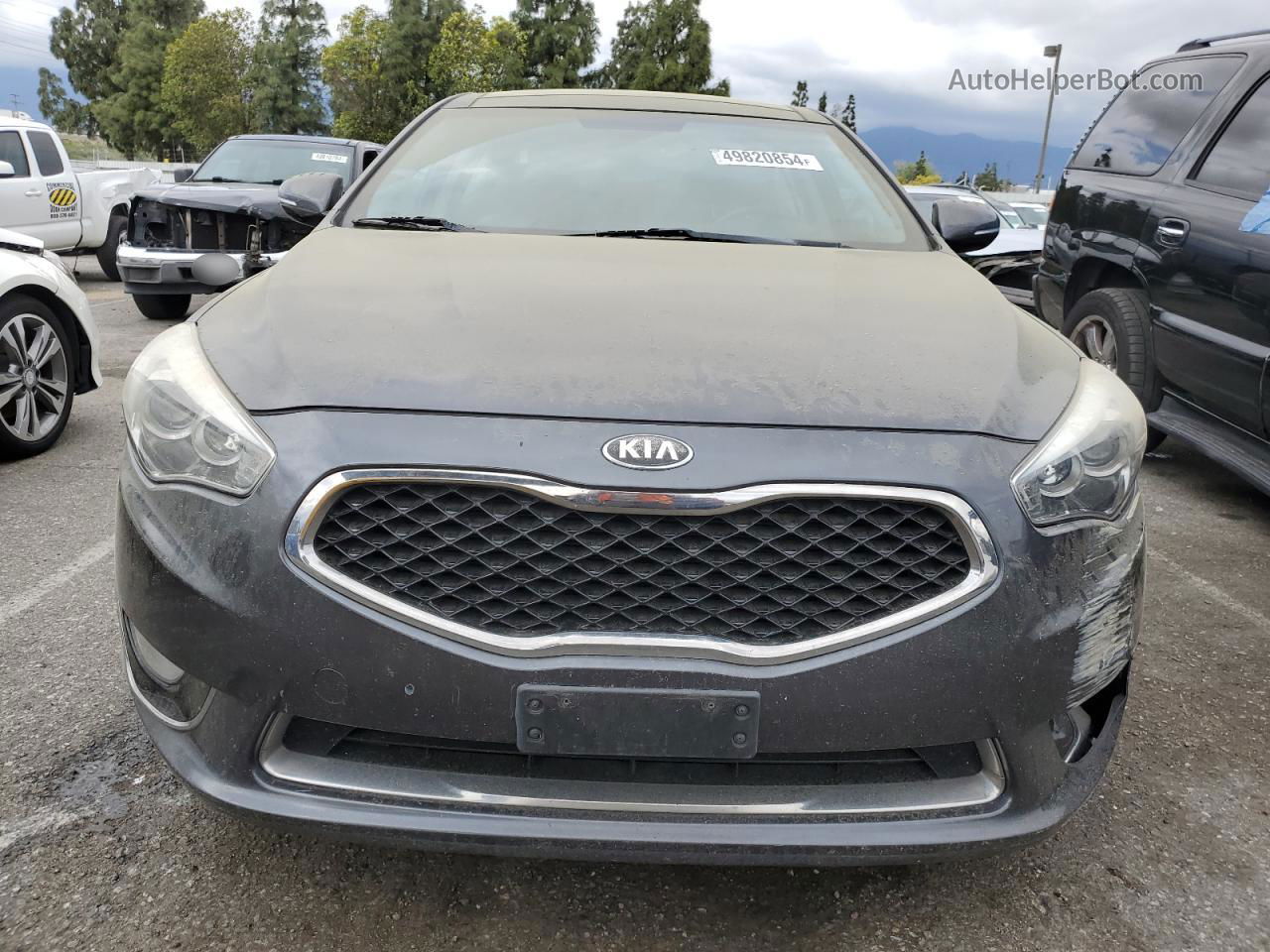 2014 Kia Cadenza Premium Серый vin: KNALN4D78E5124909