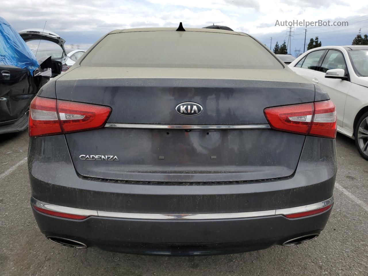 2014 Kia Cadenza Premium Gray vin: KNALN4D78E5124909