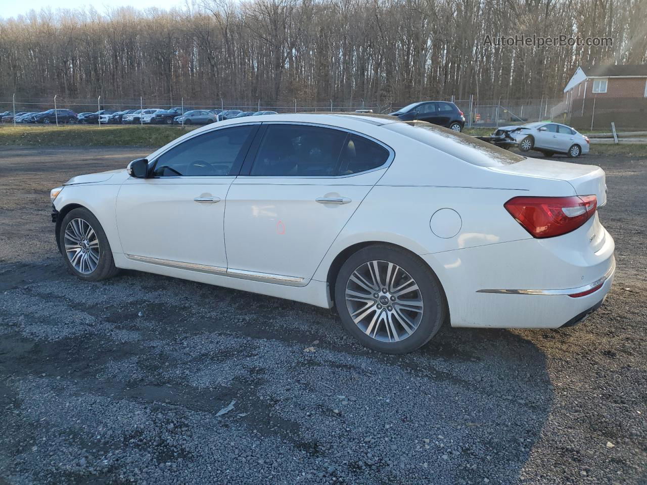 2014 Kia Cadenza Premium White vin: KNALN4D78E5130662