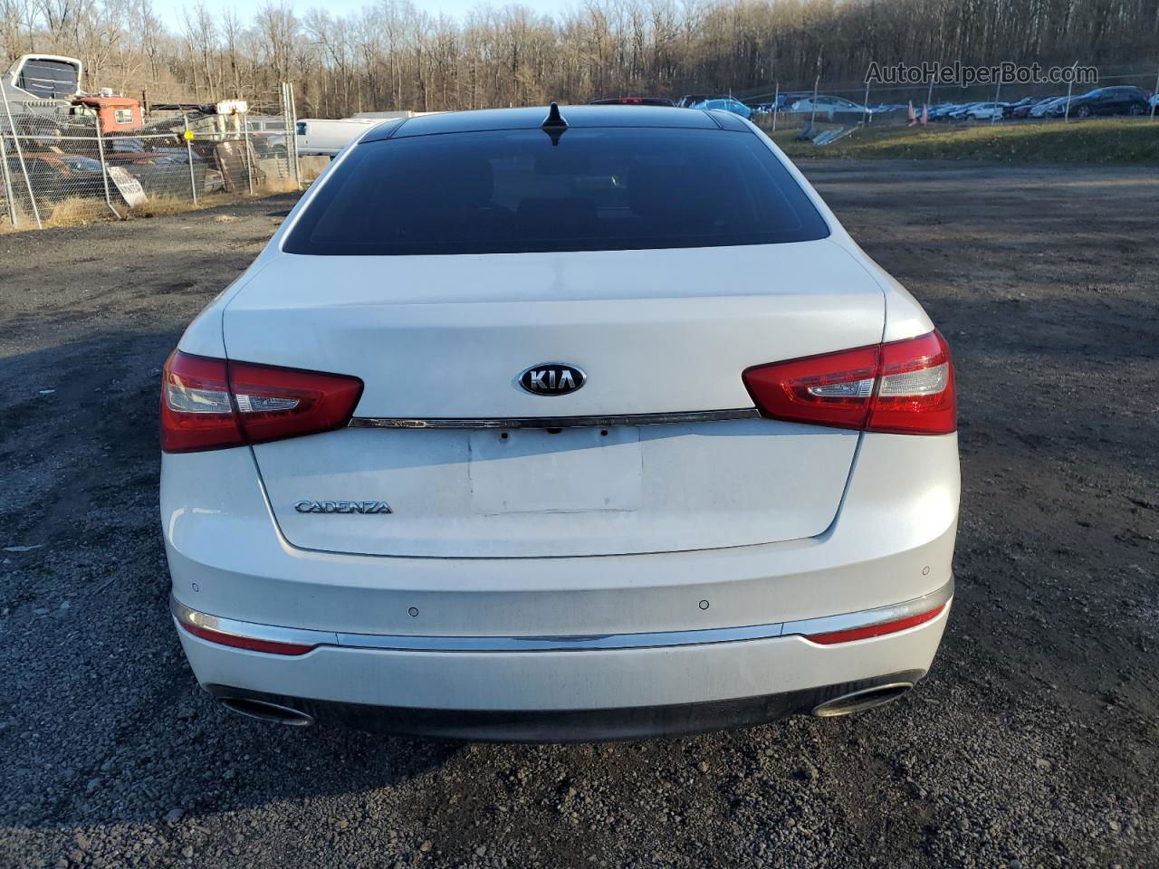 2014 Kia Cadenza Premium Белый vin: KNALN4D78E5130662