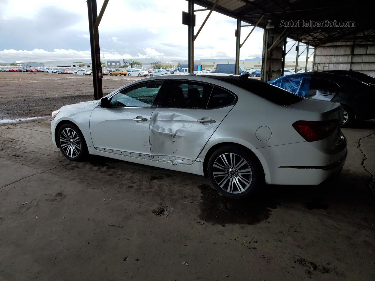 2014 Kia Cadenza Premium White vin: KNALN4D78E5131116