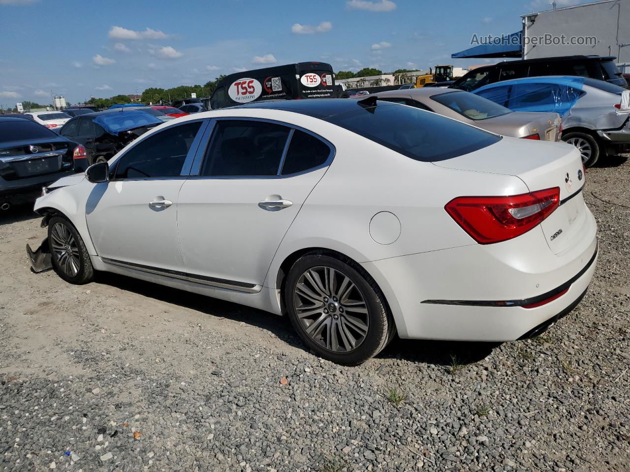 2014 Kia Cadenza Premium White vin: KNALN4D78E5133612