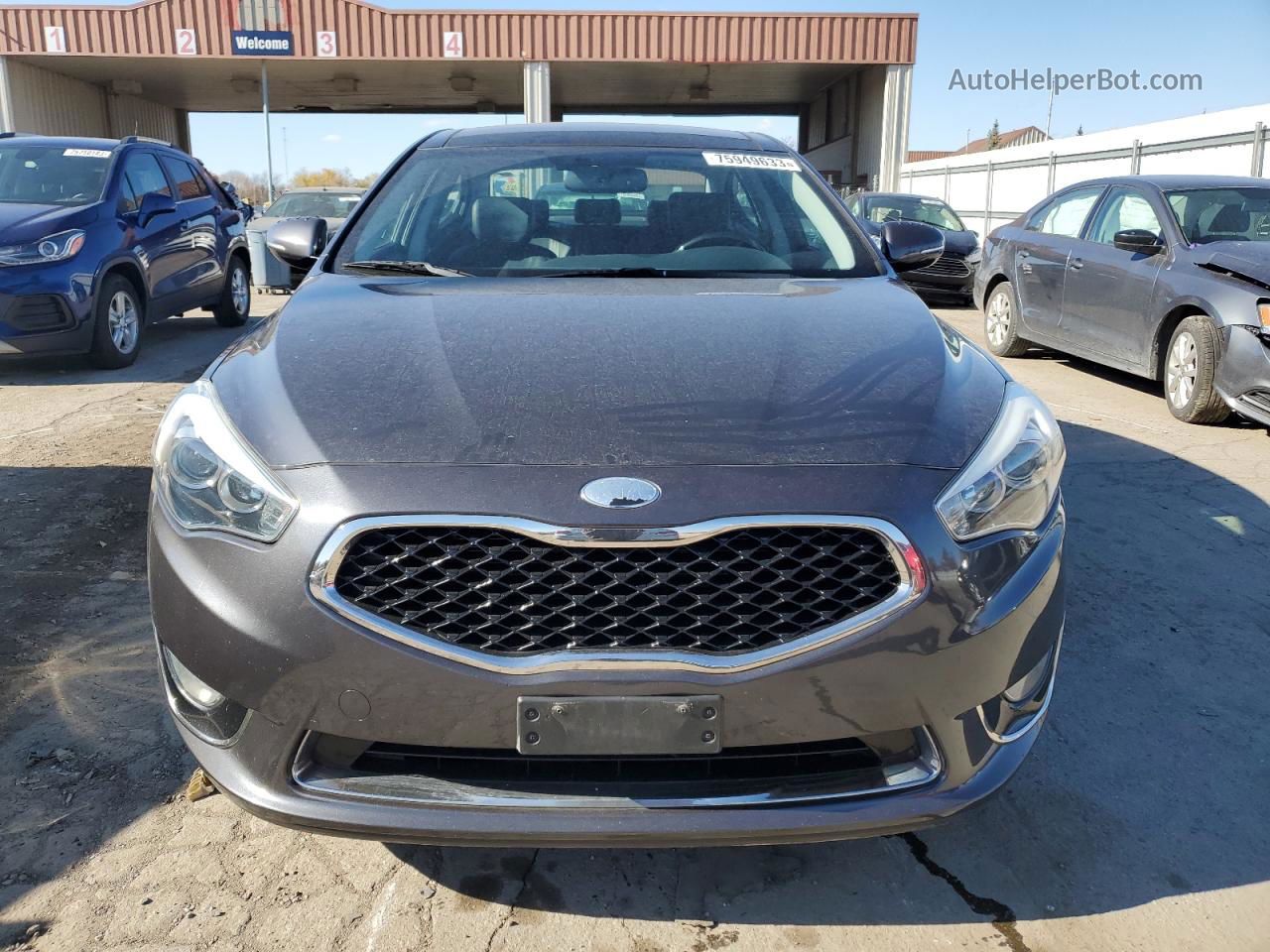 2014 Kia Cadenza Premium Gray vin: KNALN4D78E5149065