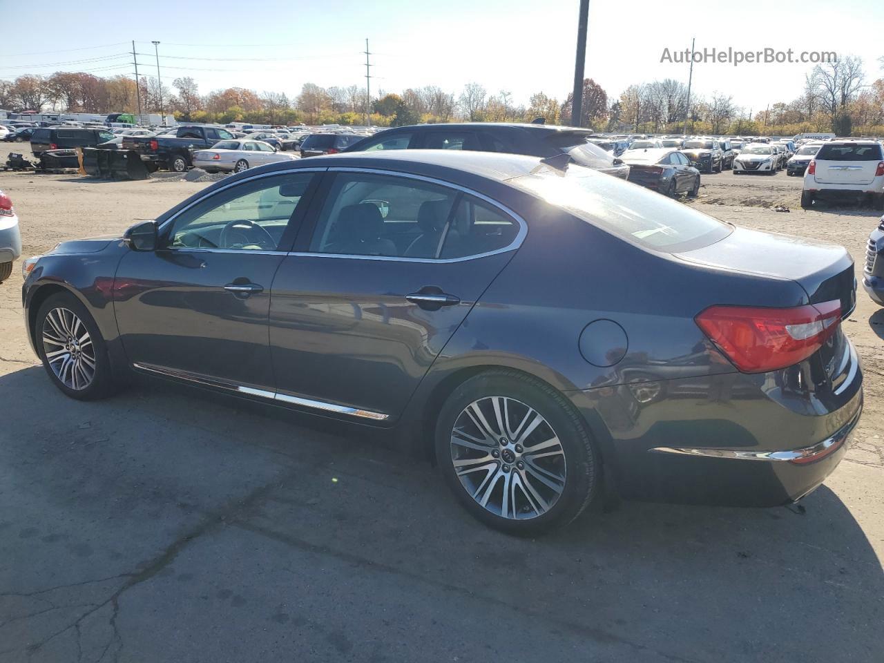 2014 Kia Cadenza Premium Gray vin: KNALN4D78E5149065