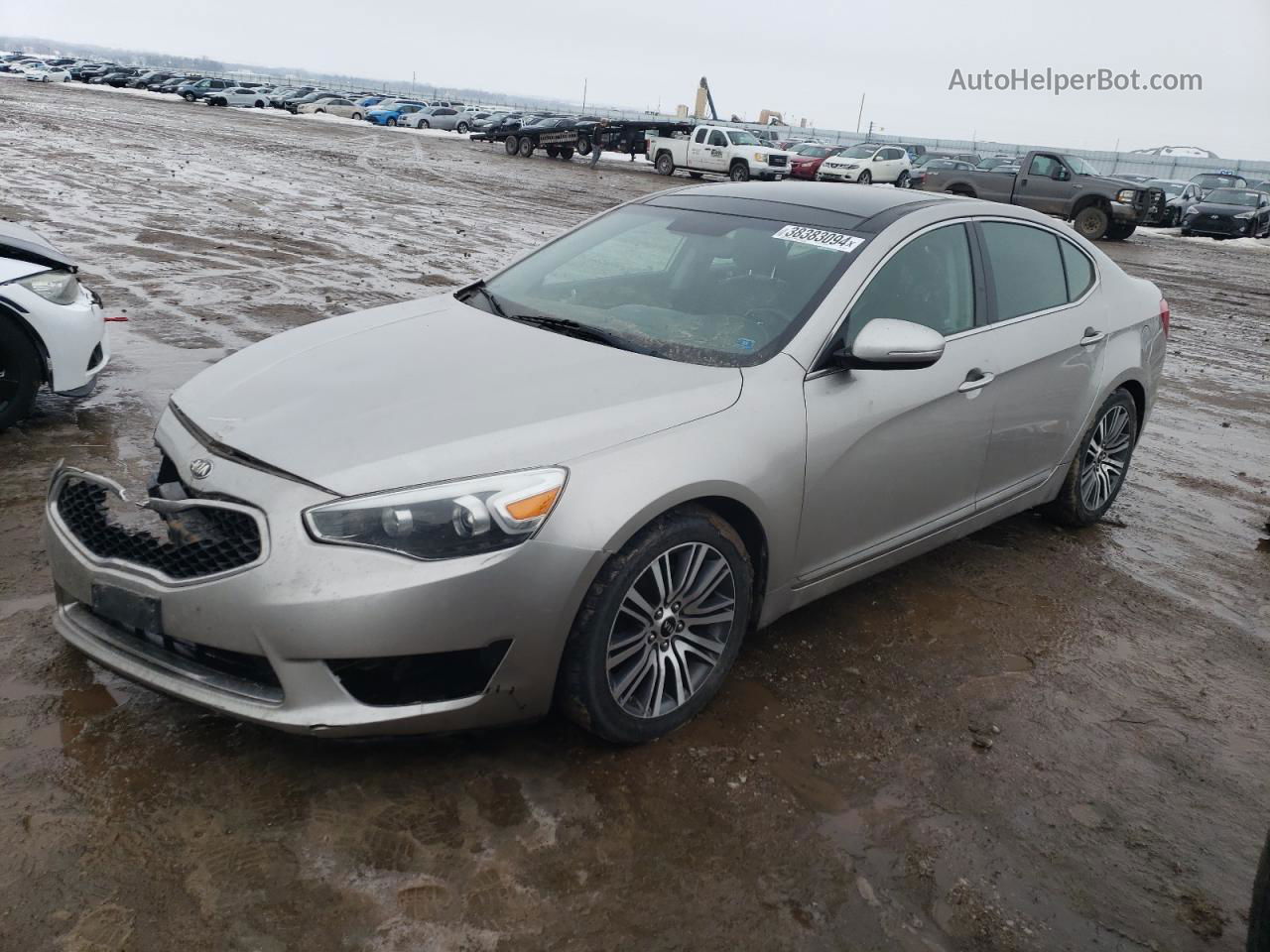 2014 Kia Cadenza Premium Silver vin: KNALN4D78E5152709