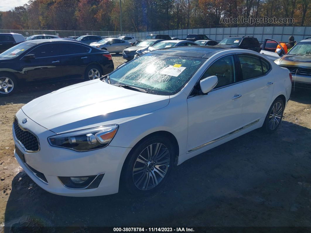 2014 Kia Cadenza Premium Белый vin: KNALN4D78E5153701