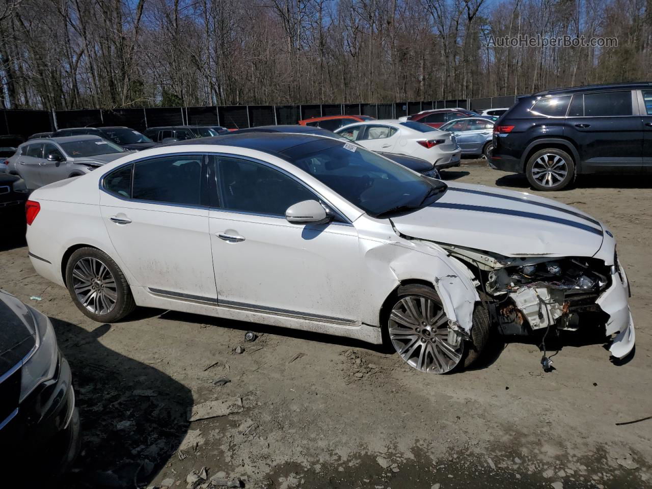 2014 Kia Cadenza Premium White vin: KNALN4D78E5157571