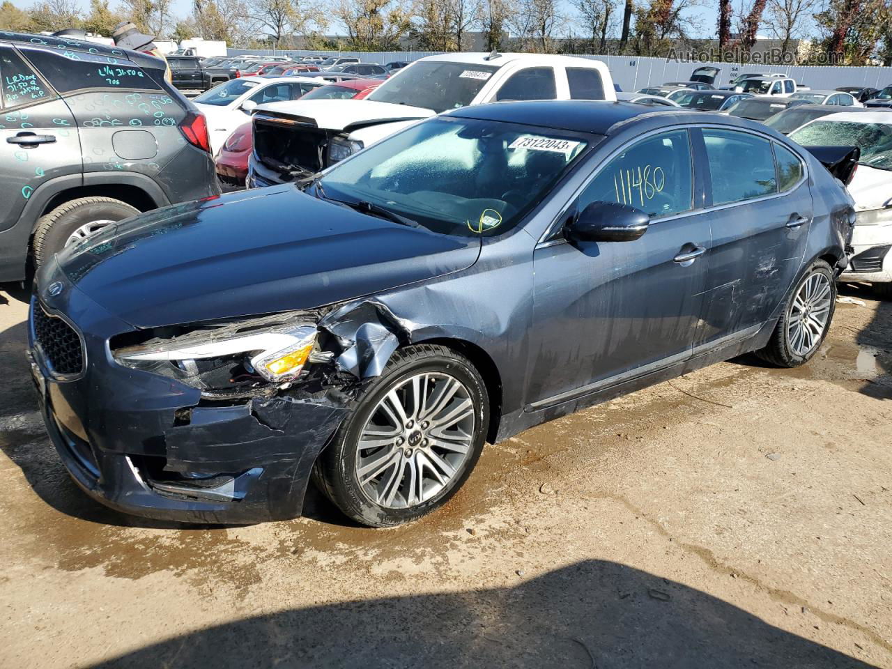 2014 Kia Cadenza Premium Gray vin: KNALN4D78E5165606