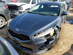 2014 Kia Cadenza Premium Gray vin: KNALN4D78E5165606