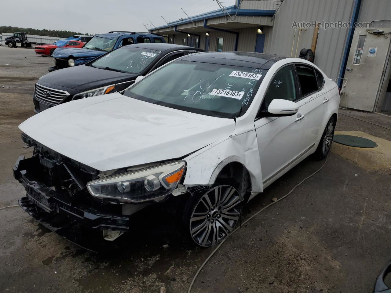 2016 Kia Cadenza Luxury White vin: KNALN4D78G5206545