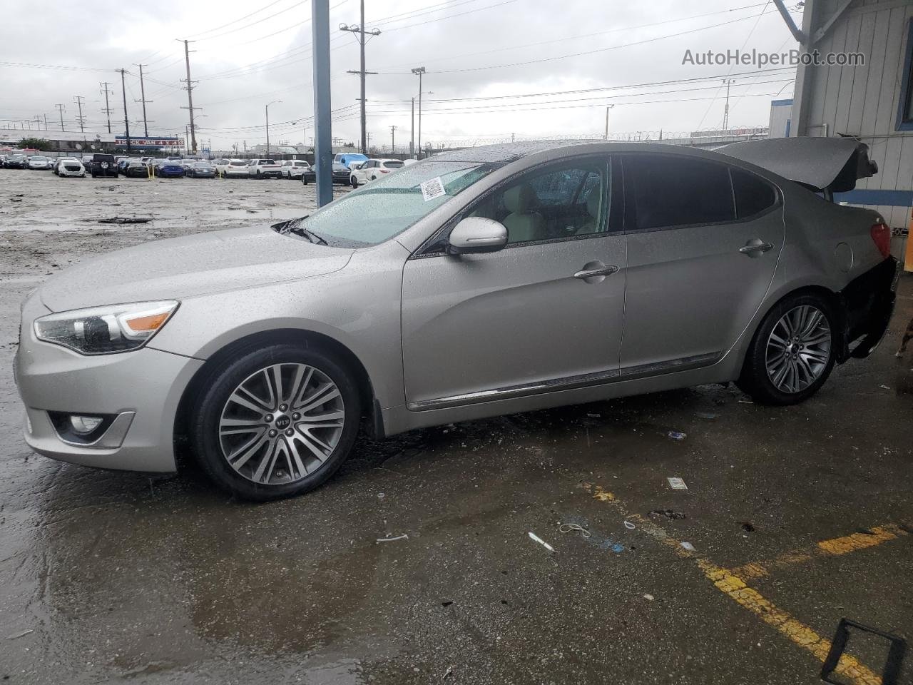 2014 Kia Cadenza Premium Gray vin: KNALN4D79E5129794