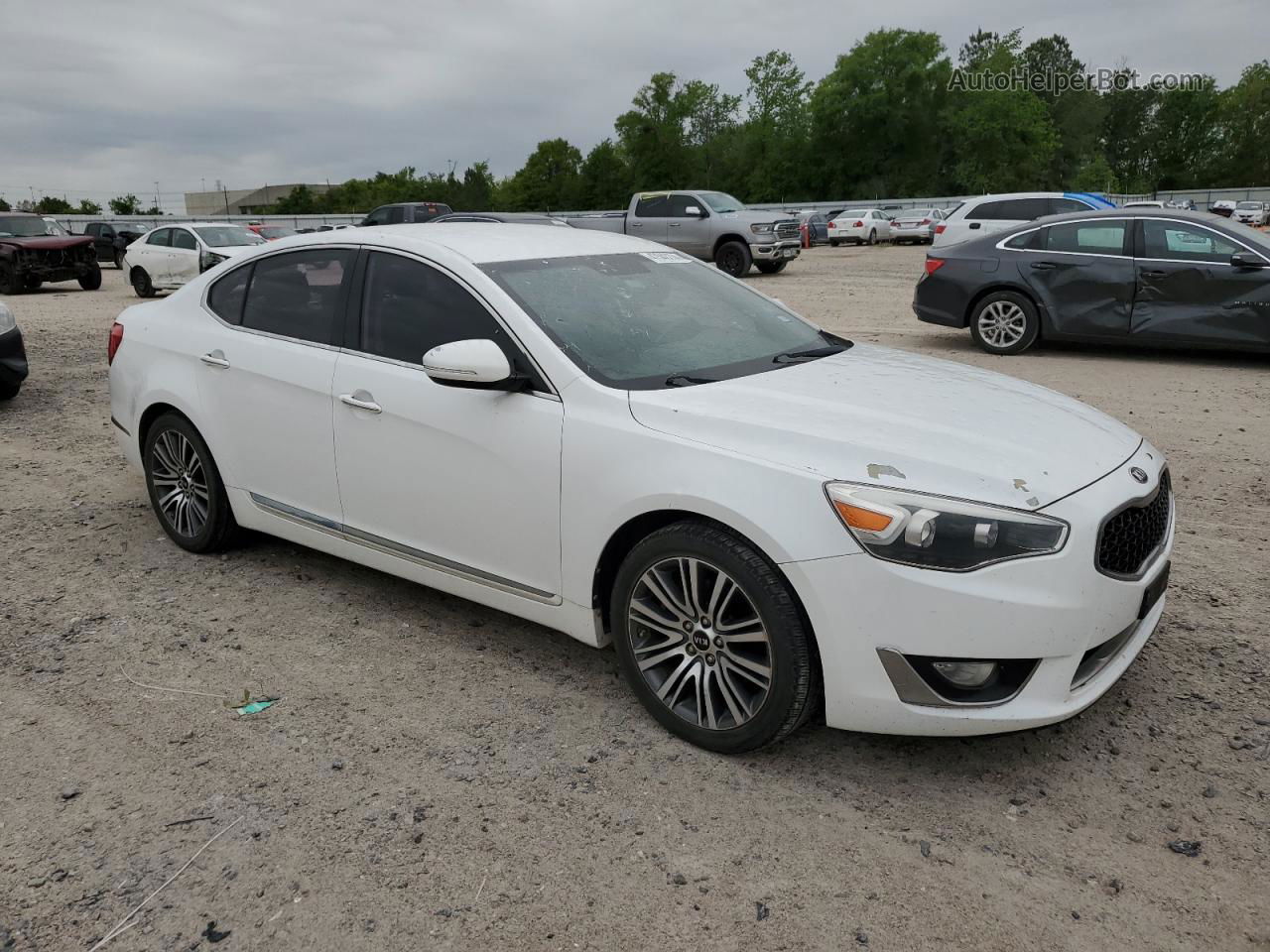 2014 Kia Cadenza Premium White vin: KNALN4D79E5140598