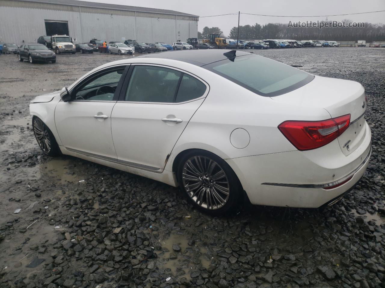 2014 Kia Cadenza Premium Белый vin: KNALN4D79E5143145