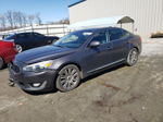 2014 Kia Cadenza Premium Charcoal vin: KNALN4D79E5153092