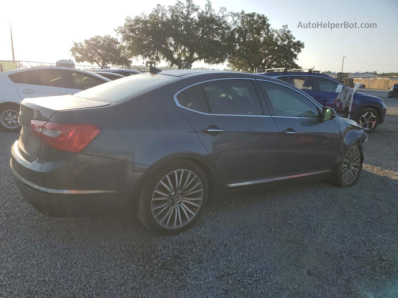 2014 Kia Cadenza Premium Gray vin: KNALN4D7XE5128024