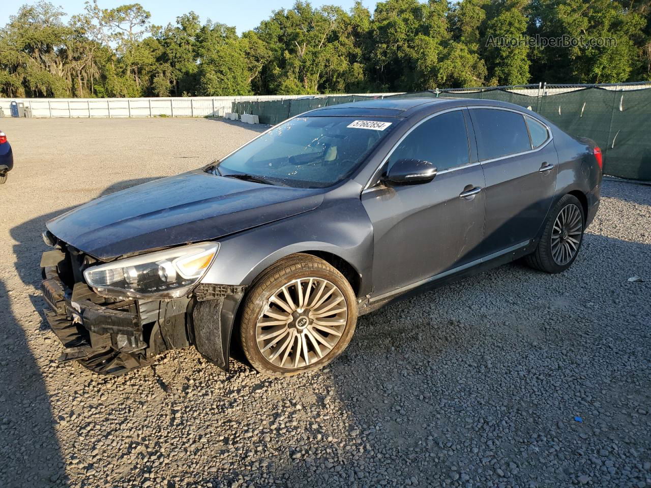 2014 Kia Cadenza Premium Gray vin: KNALN4D7XE5128024