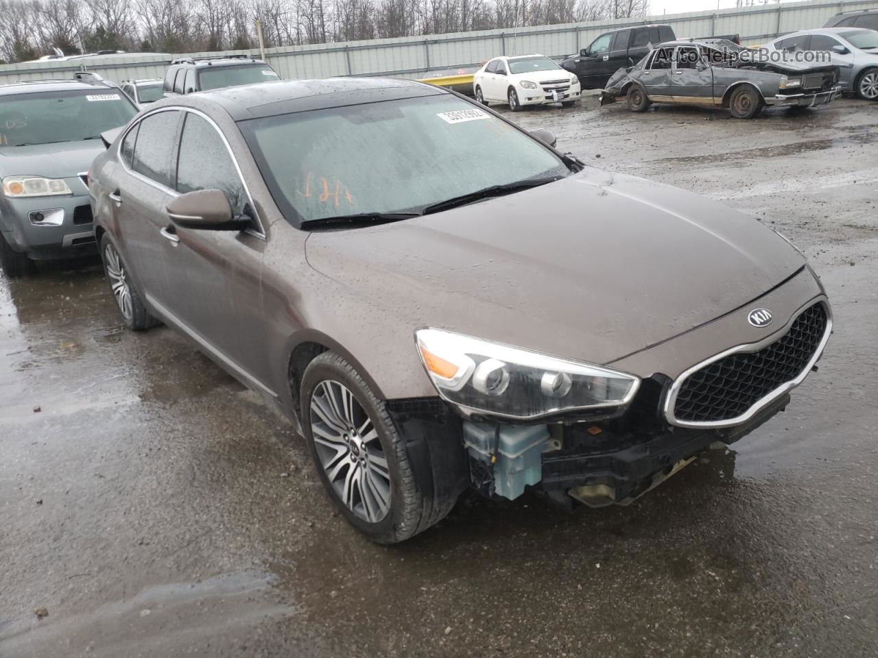 2014 Kia Cadenza Premium Brown vin: KNALN4D7XE5139797